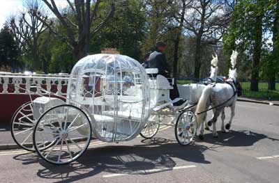 Cinderella Carriage Horse Drawn Carriage