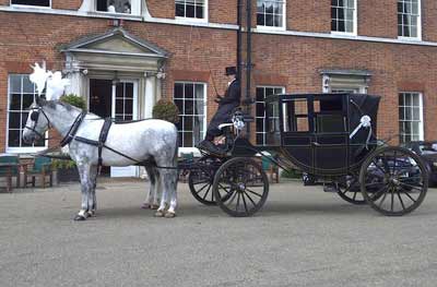 wedding Horse Drawn Carriage