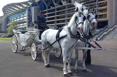 wedding White Landau Open Horse Drawn Carriage 