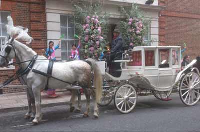 Wedding White Landau Close Horse Drawn Carriage 